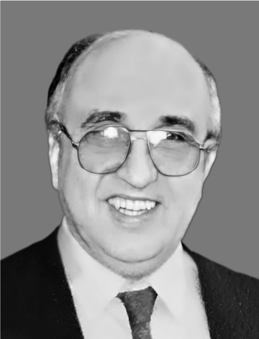 صورة السيد محمد الودغيري - عضو الغرفة الدستورية